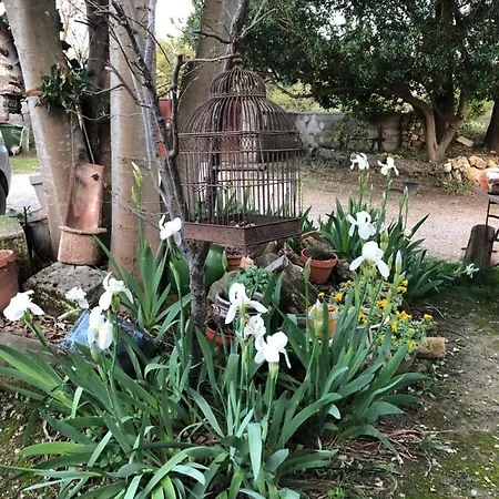 Gite Au Bout Du Chemin Le Pouget Extérieur photo