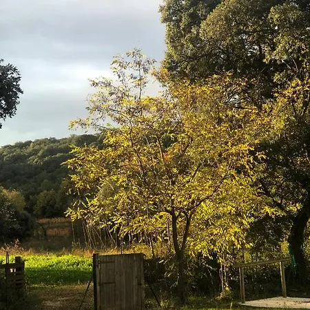 Gite Au Bout Du Chemin Le Pouget Extérieur photo