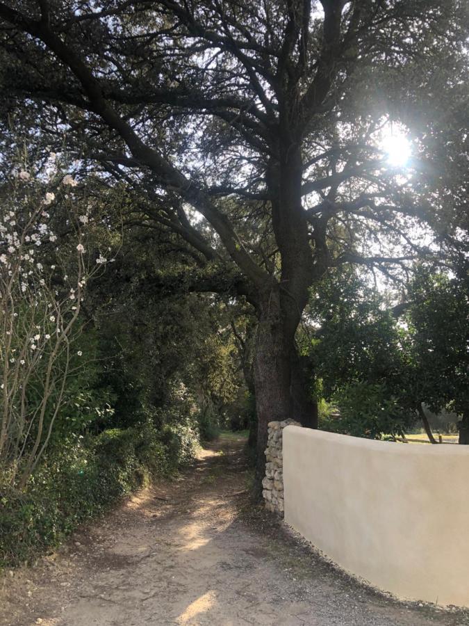 Holiday home Au Bout Du Chemin Le Pouget